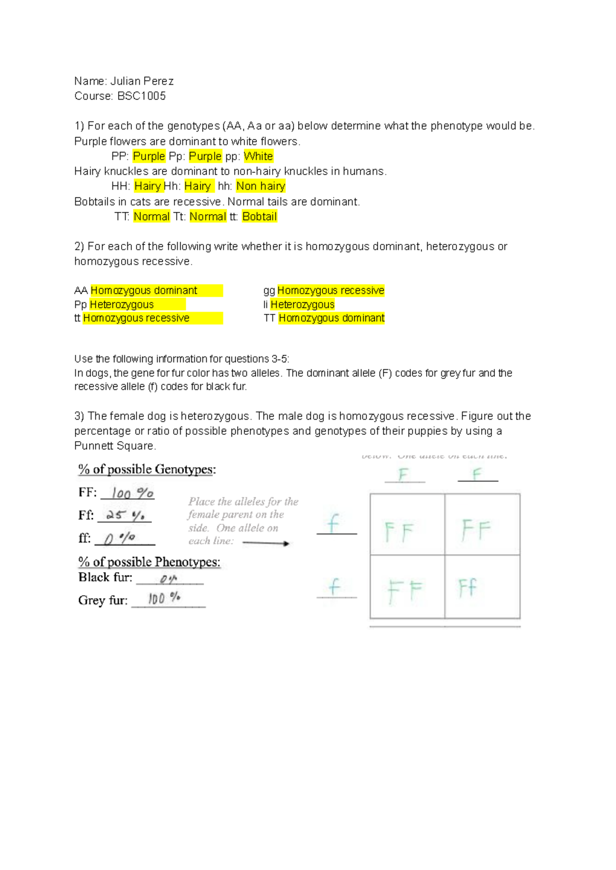 Punnett Square Practice - Name: Julian Perez Course: BSC 1) For each of ...