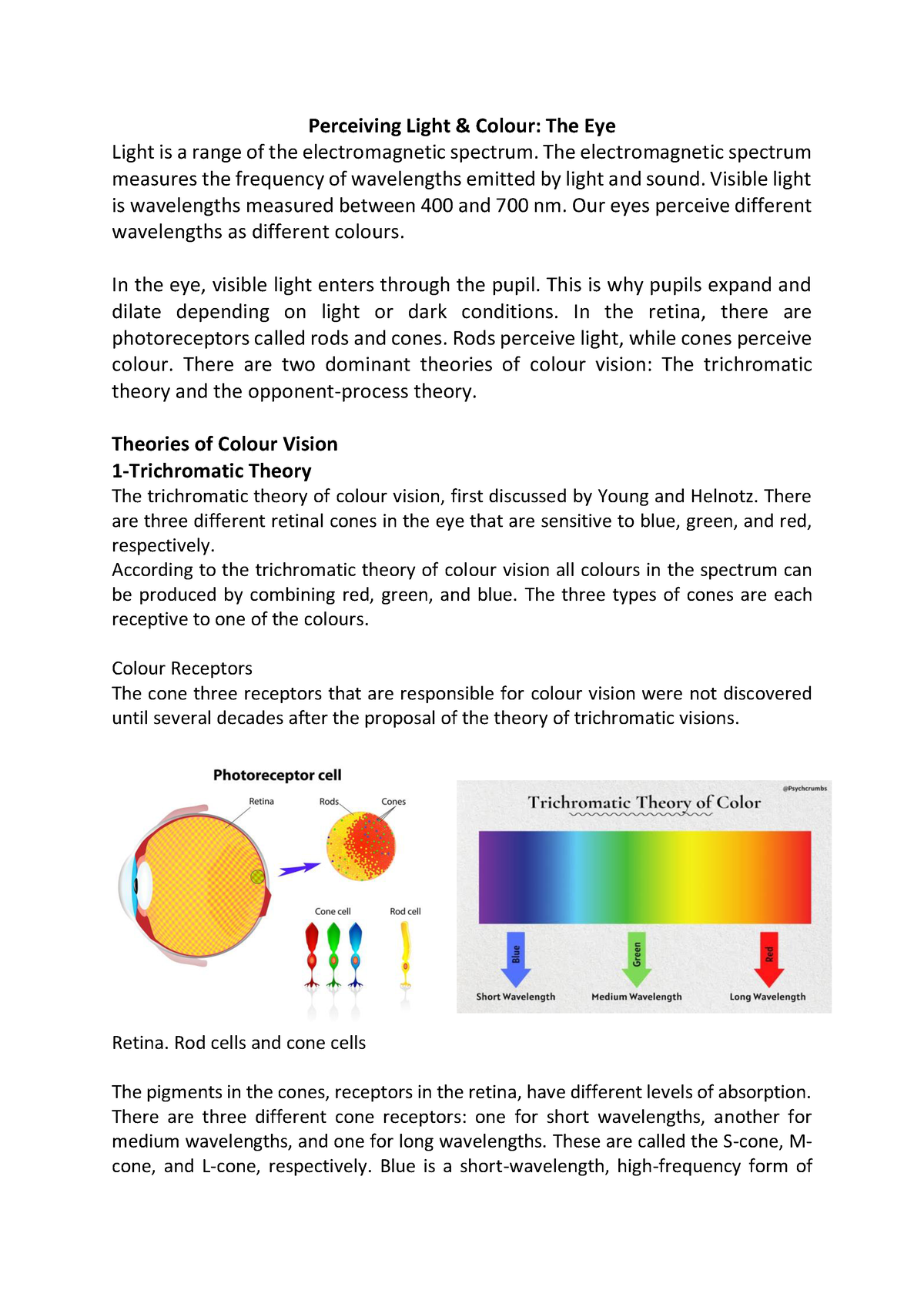 Colour Vision Theories - Perceiving Light & Colour: The Eye Light Is A ...