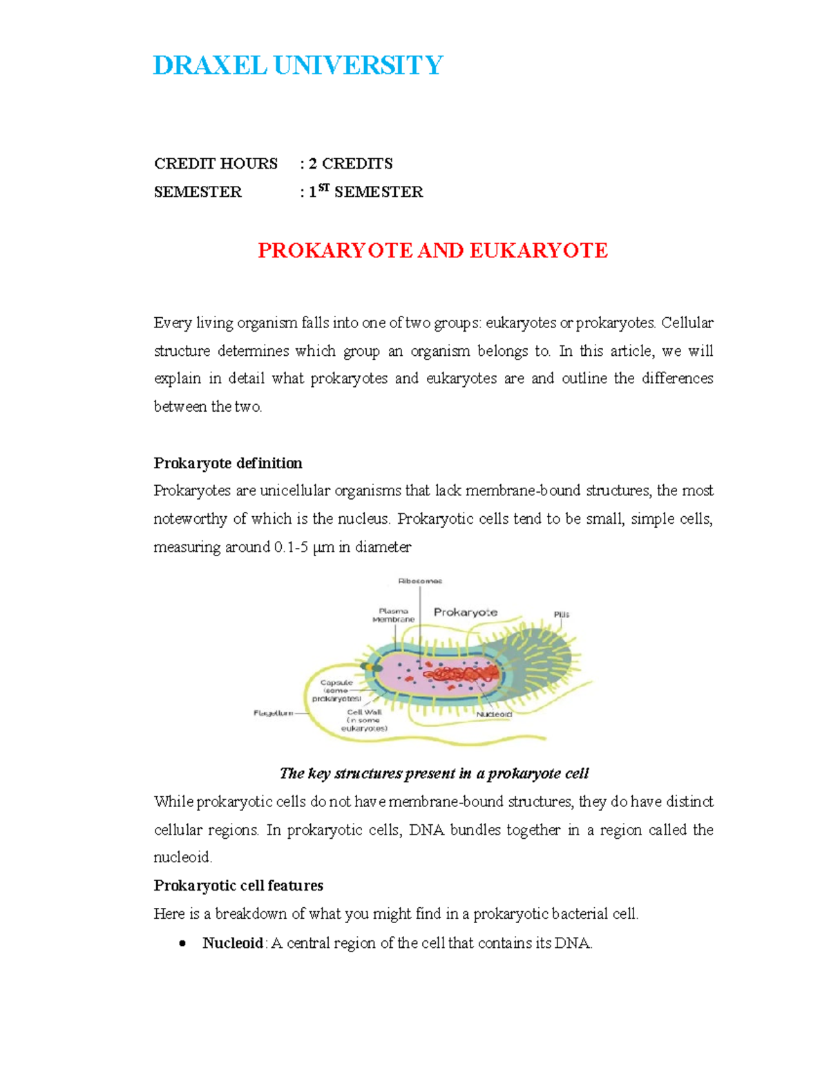 Differences between Prokaryotes and Eukaryotes - Studocu