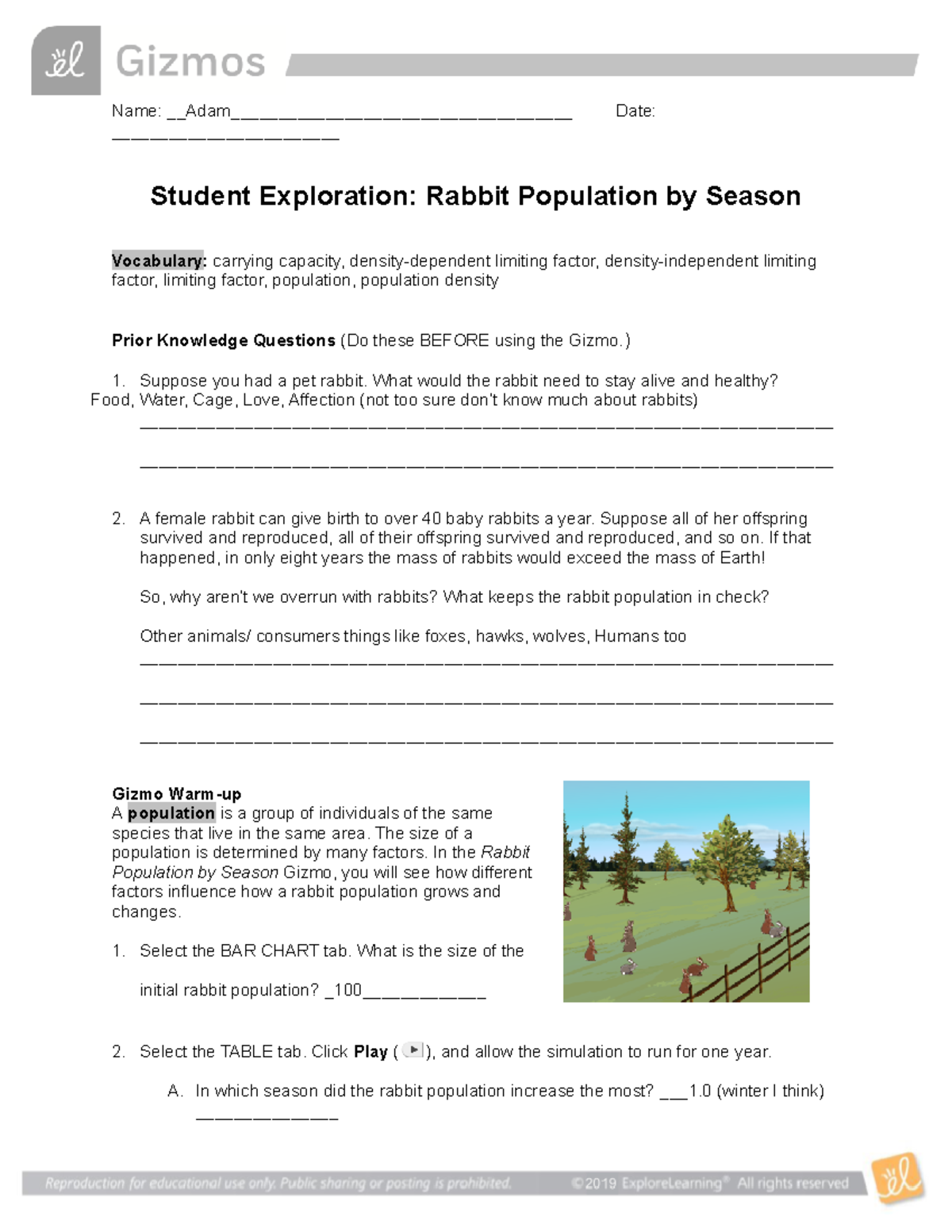 Copy of Rabbit Population Season SE - Name: Adam ...