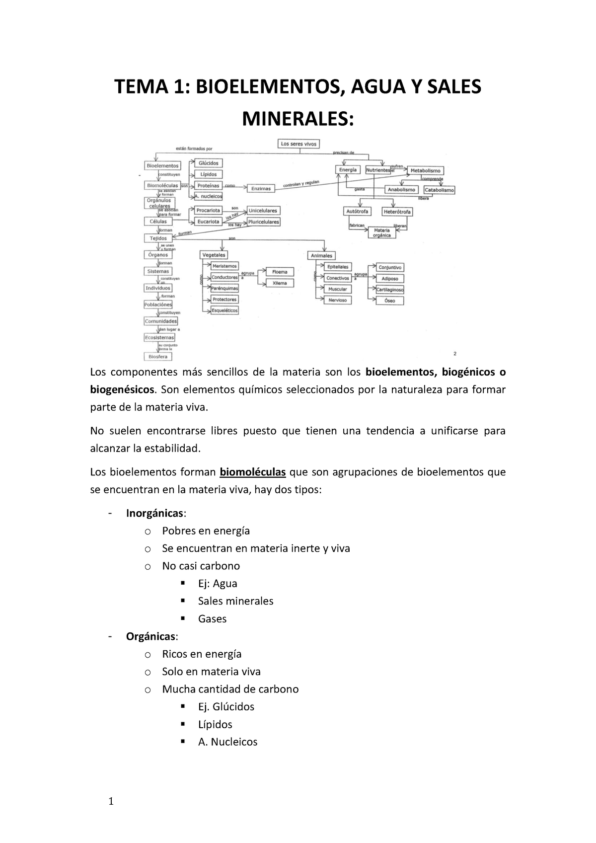 T1. Biologia Bioelementos - TEMA 1: BIOELEMENTOS, AGUA Y SALES ...