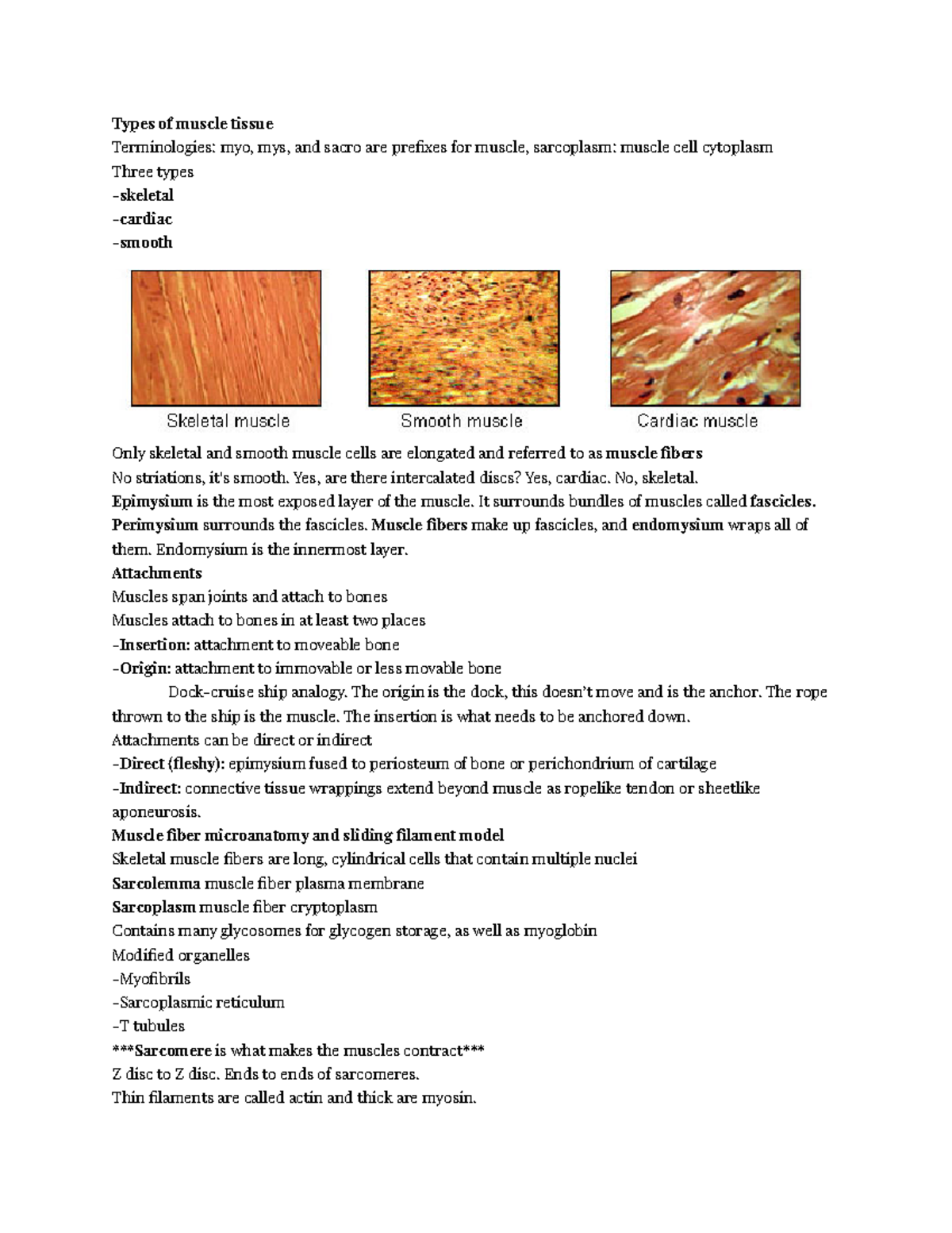 a-p-chapter-9-muscle-google-docs-types-of-muscle-tissue