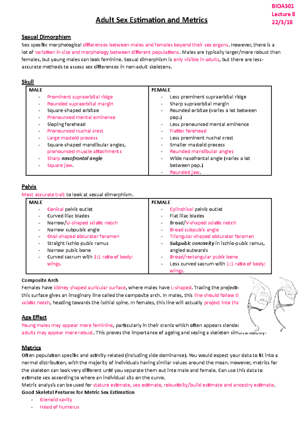 Lecture 8 Adult Sex Estimation Adult Sex Estimation And Metrics