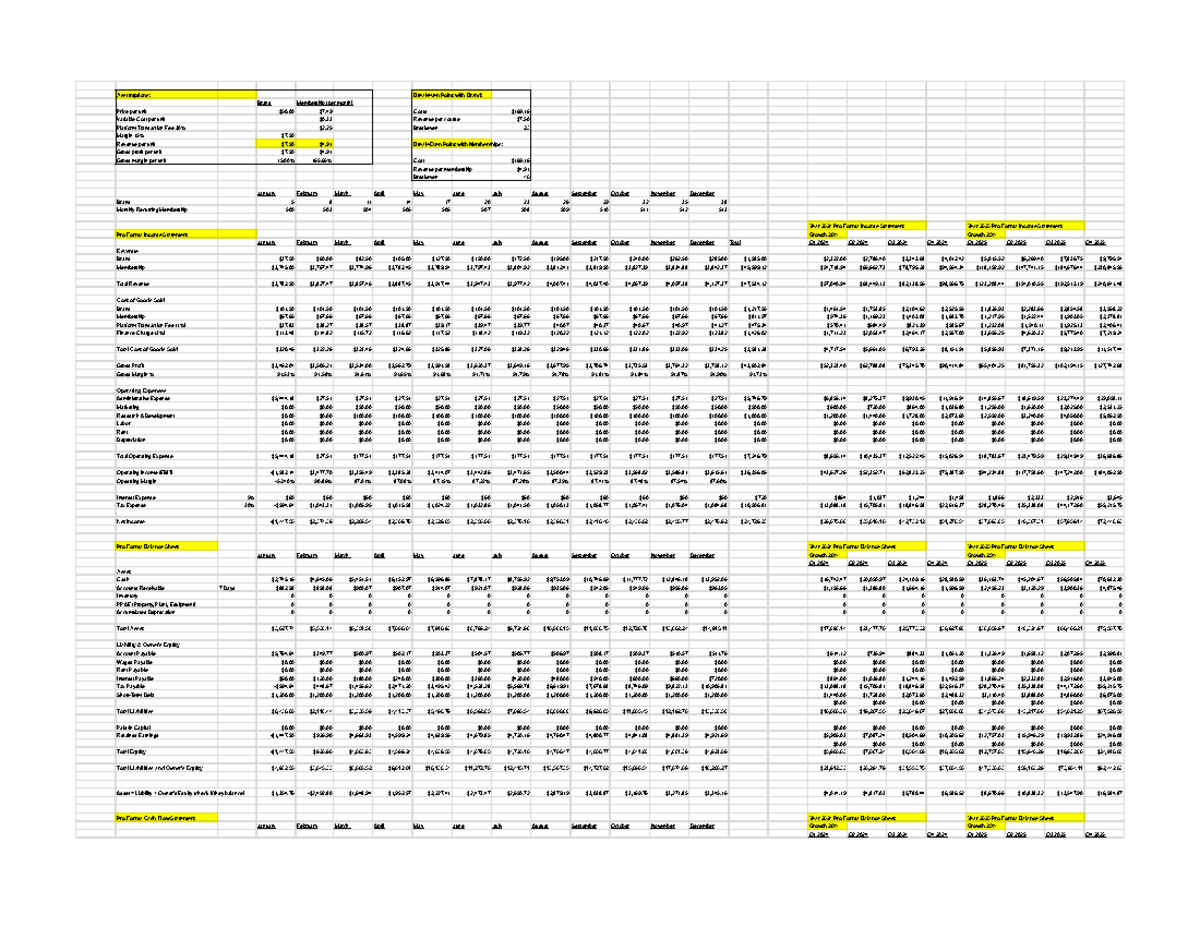 Entre 561 Pro Forma Statements.xlsx - Pro Format Statements ...