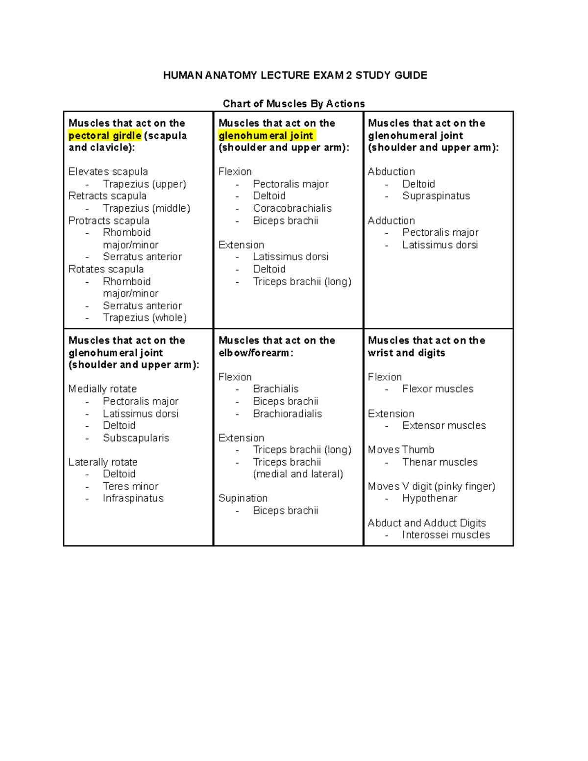 Human Anatomy Exam 2 Study Guide: Muscles And Skeletal System - Studocu