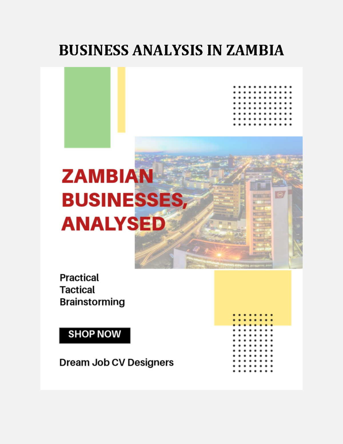 business plan in zambia