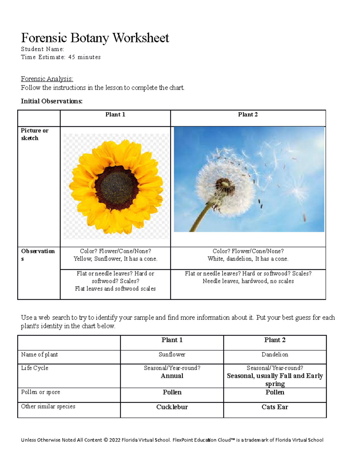 02 05 forensic botany worksheet Forensic Botany Worksheet Student