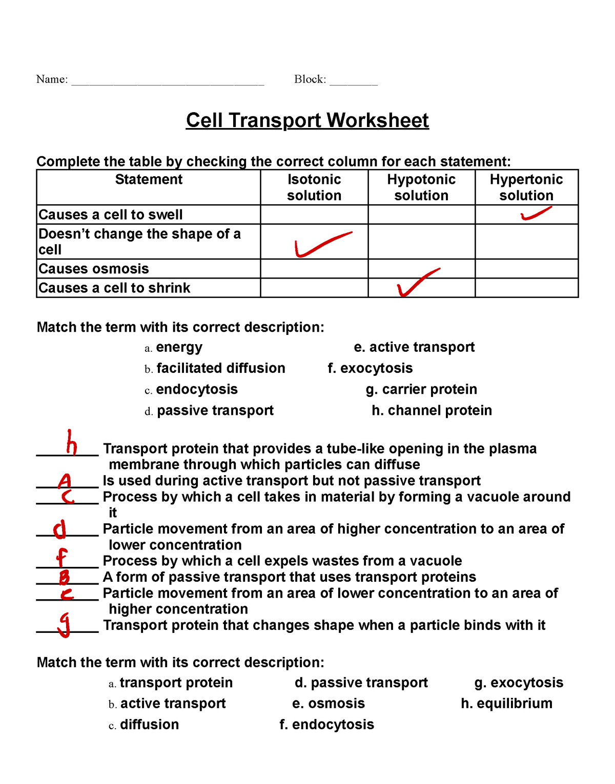 Cell Transport Worksheets - Name ...