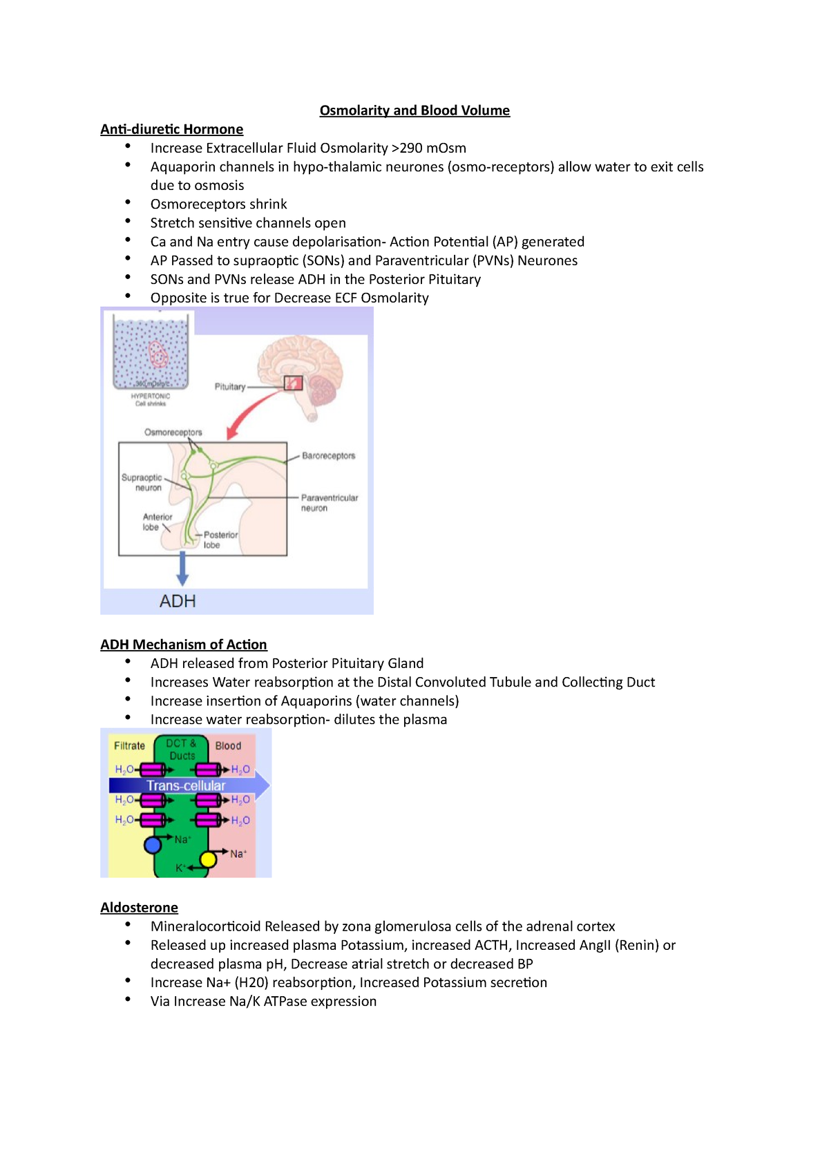 Osmolarity and Blood Volume - Osmolarity and Blood Volume Anti-diuretic ...