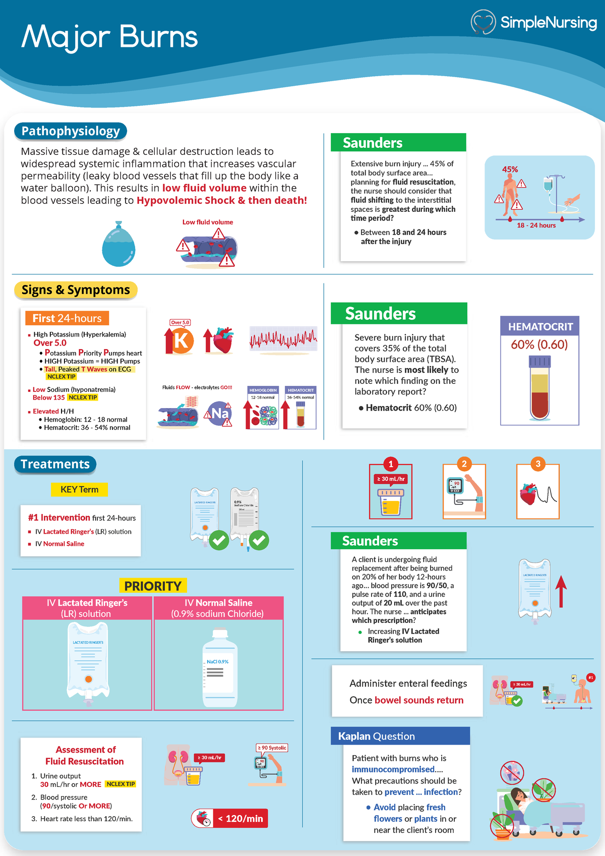 2. Major Burns practice - Major Burns Pathophysiology Saunders ï ...