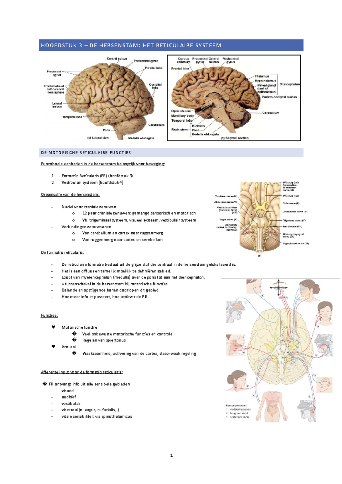 Neurofysiologie - samenvatting pwp hstk 3 tot 8 - HOOFDSTUK 3 – DE ...