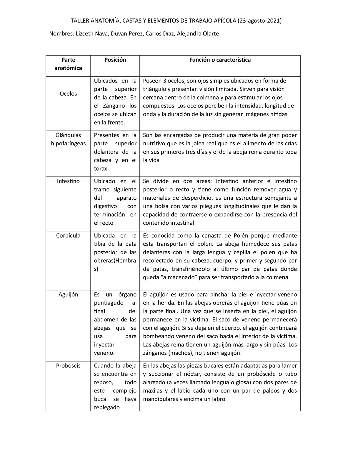 Taller Morfologia - investigación - TALLER ANATOMÍA, CASTAS Y ELEMENTOS ...