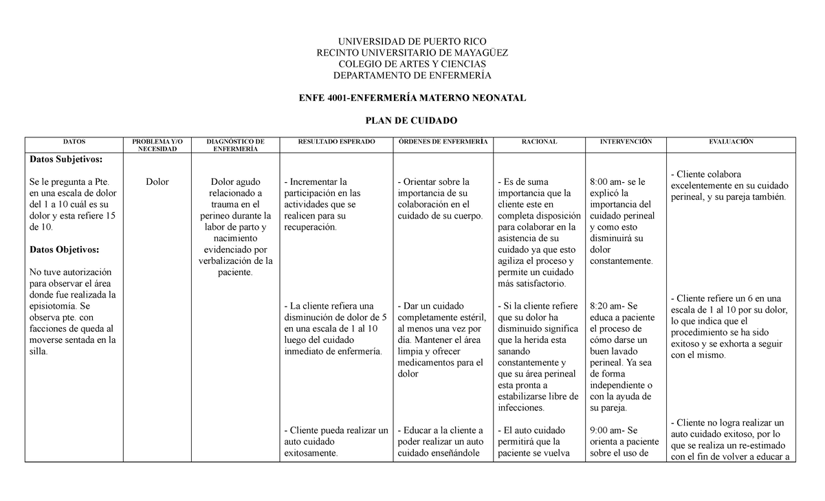 Hoja Plan De Cuidado 1 (Dolor) Maternidad - UNIVERSIDAD DE PUERTO RICO ...