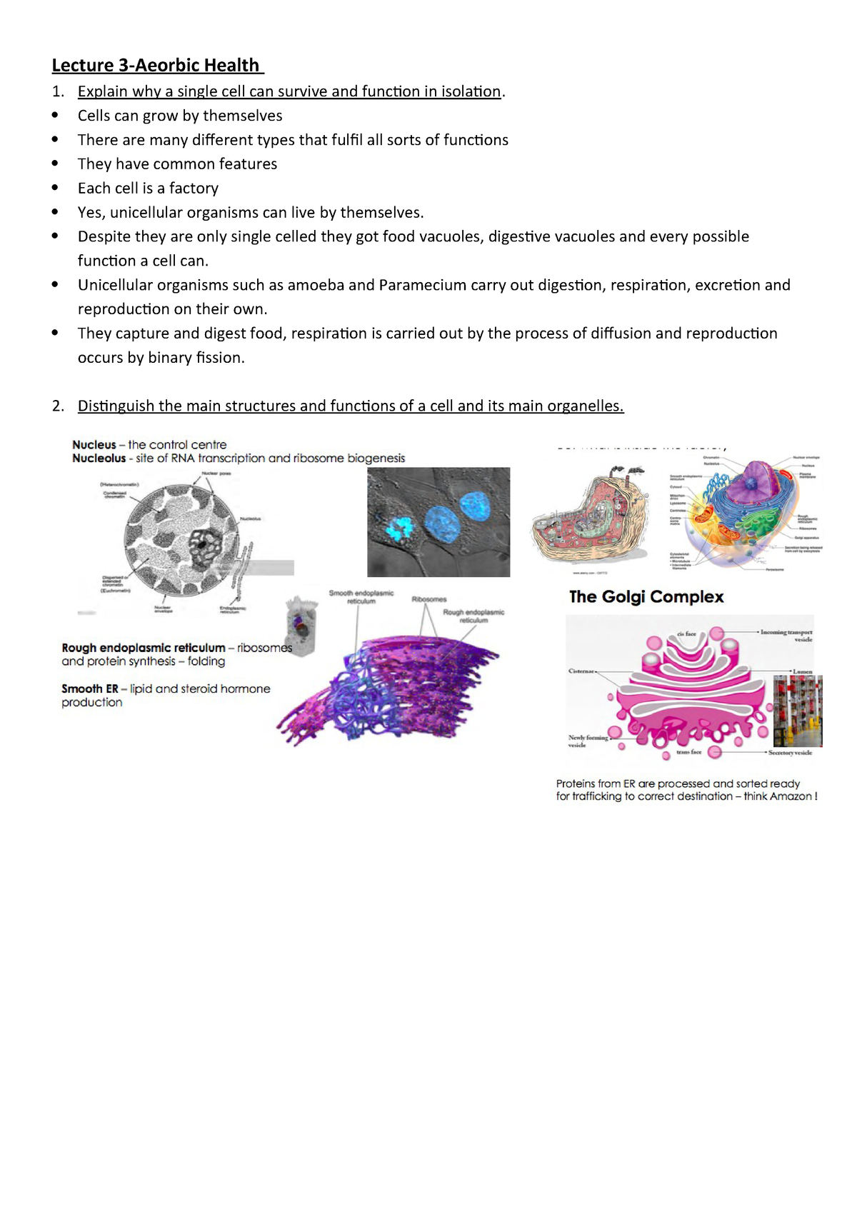 Human biology 10 grade презентация