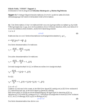 Anvvendt Matematik Rapport B - Anvendt Matematik For Kemikere Rapport B ...