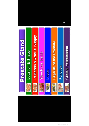 MMIs Guide - ..; - Multiple Mini-stations Interviews (MMIs) Guide From ...