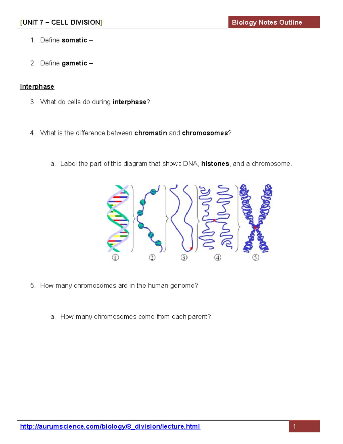 Cell Cycle and Division Notes Outline21 Define somatic Define