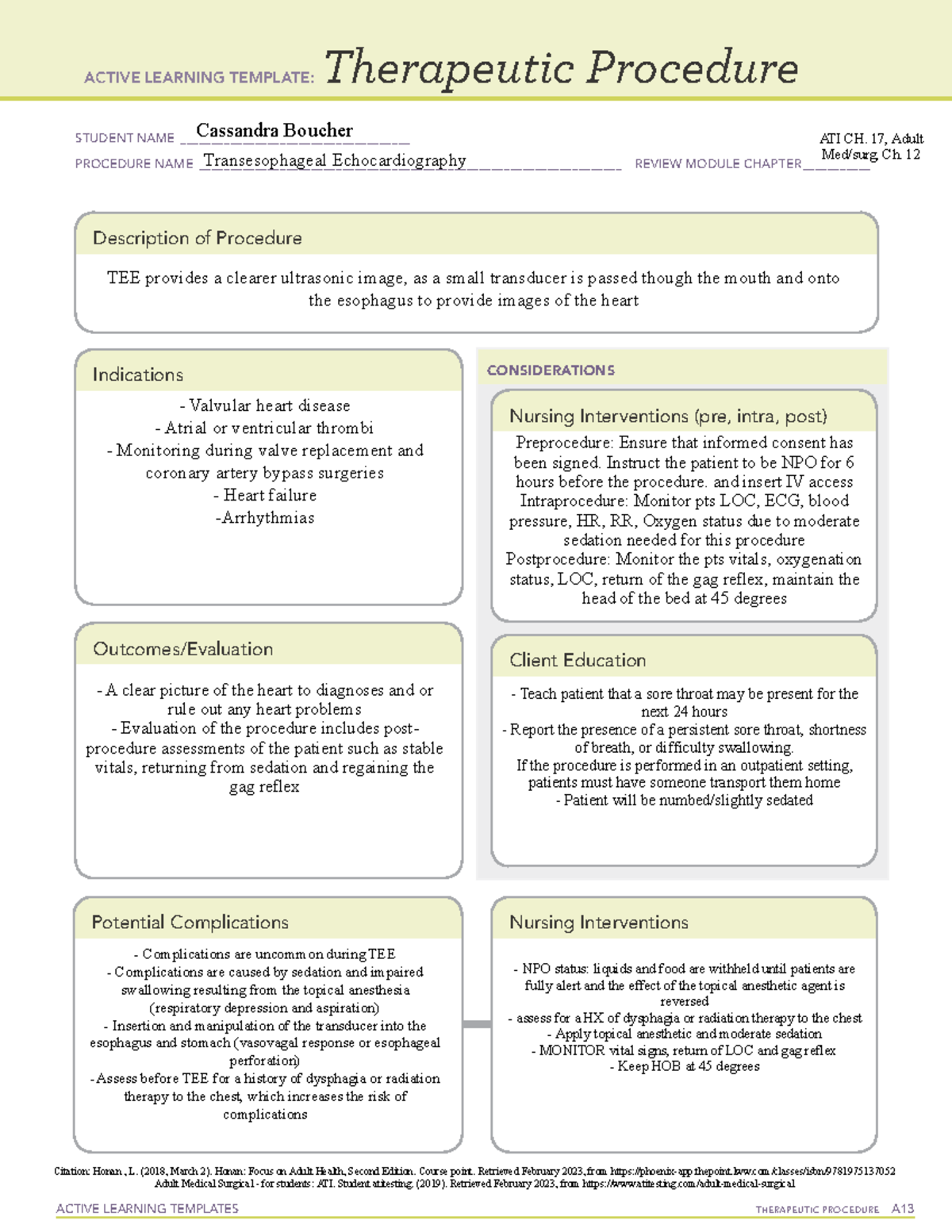 Active Learning Template Therapeutic Procedure-TEE - ACTIVE LEARNING ...