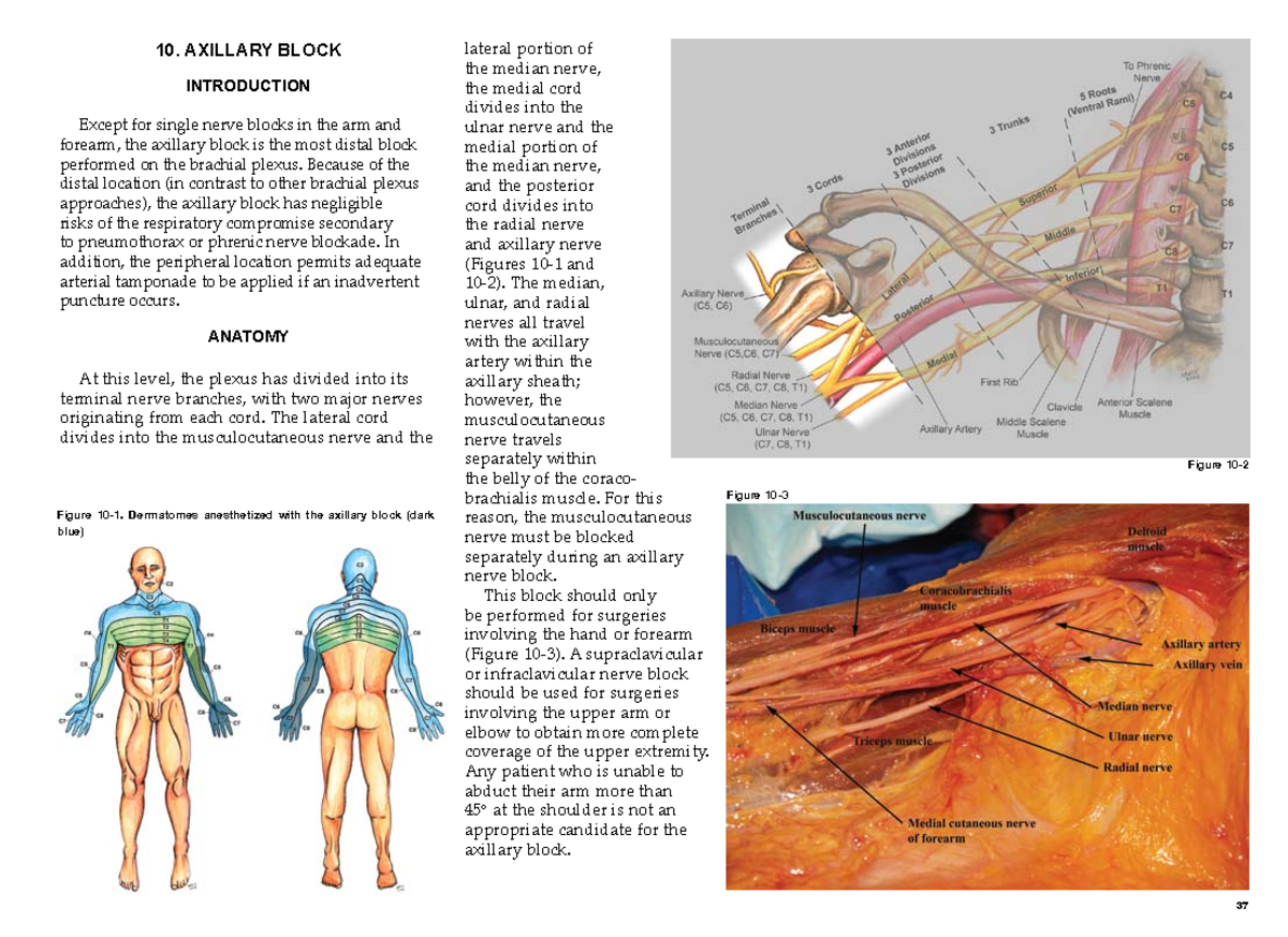 Axilliary block - good to follow - Figure 10-1. Dermatomes anesthetized ...