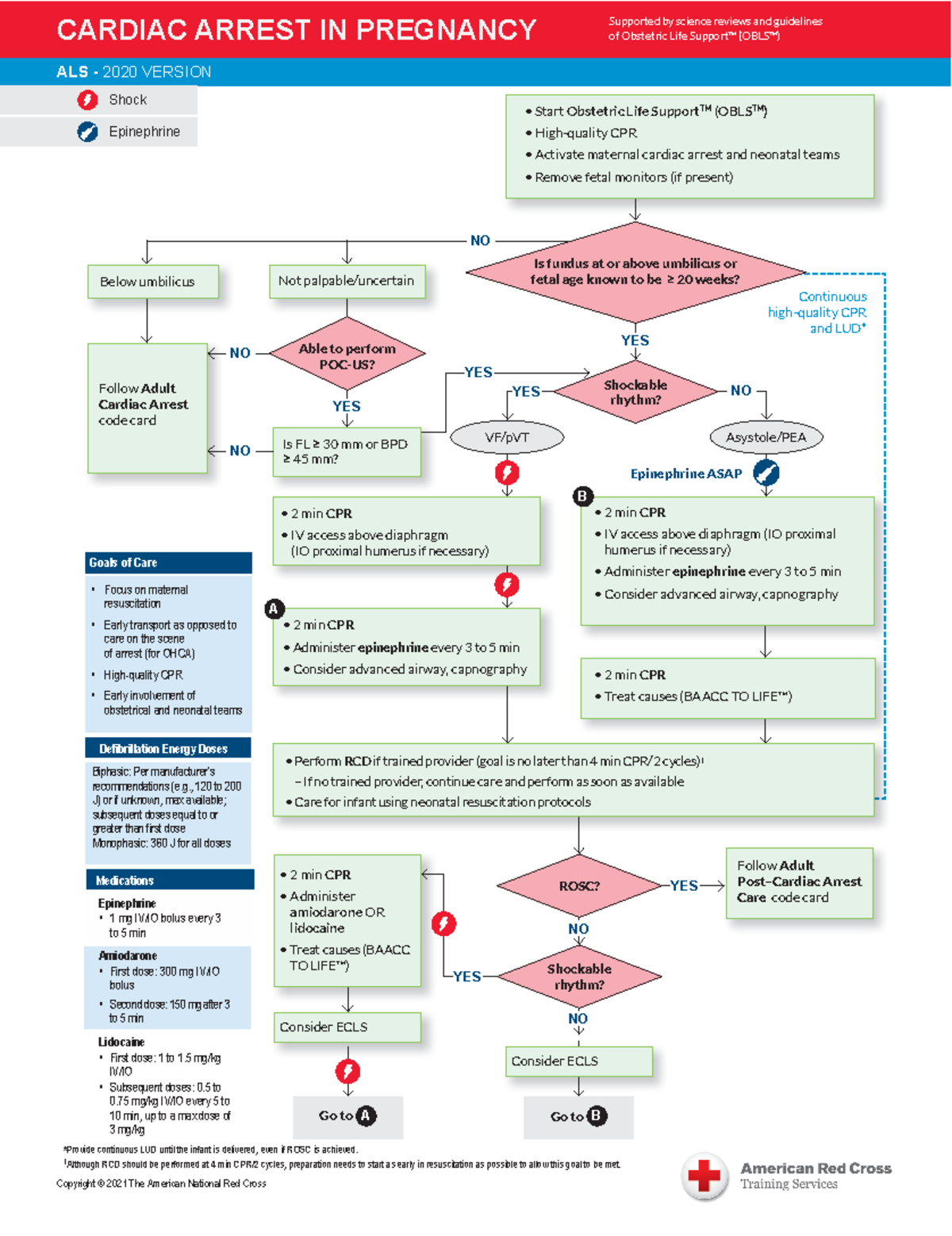 CC-06 Cardiac- Arrest- Pregnancy - Copyright © 2021 The American ...