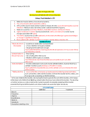 Renal Focus Areas - Renal Focus Areas NUR 210 Test 7 Tooley Know the ...