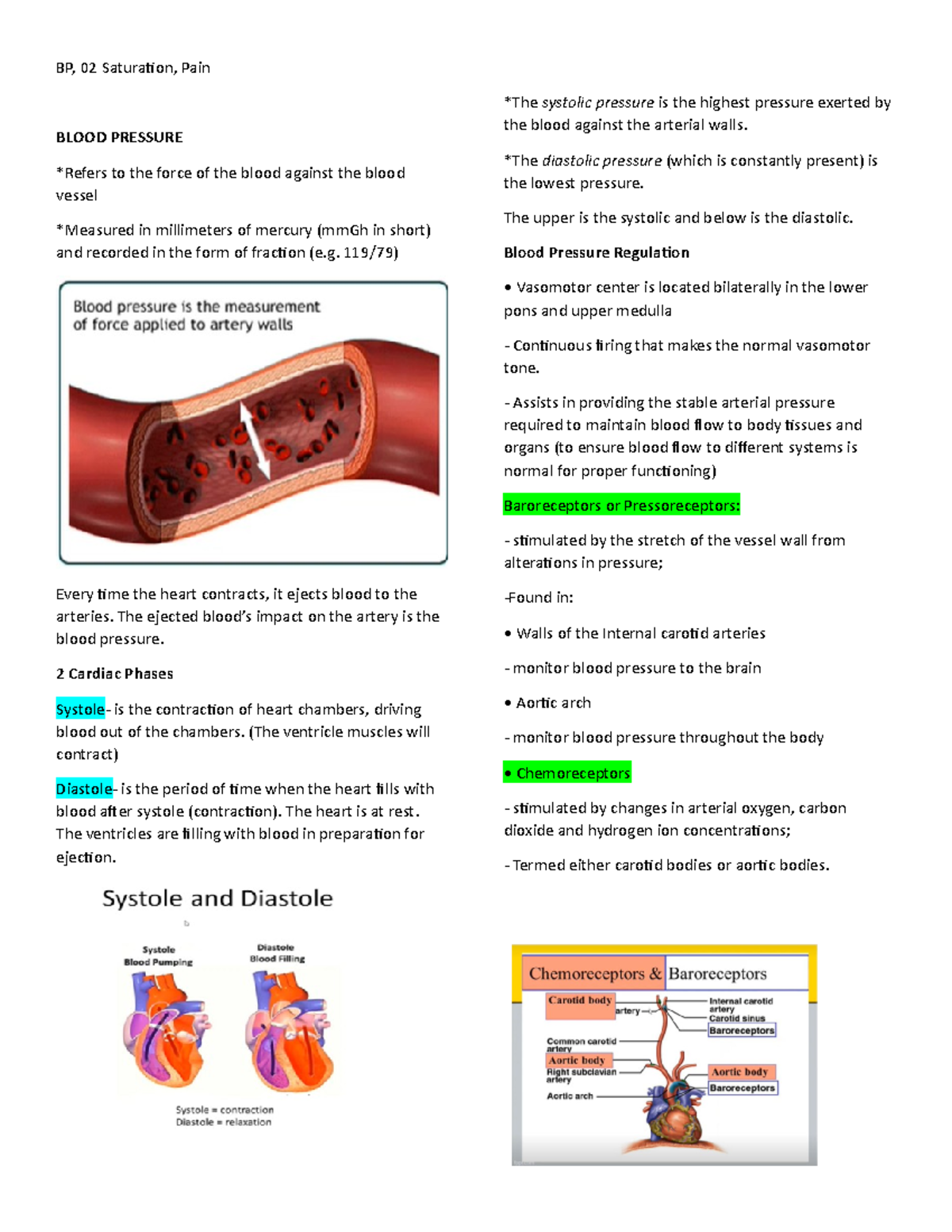 BP Oxygen Sat Pain - This is my notes for the following vital signs ...