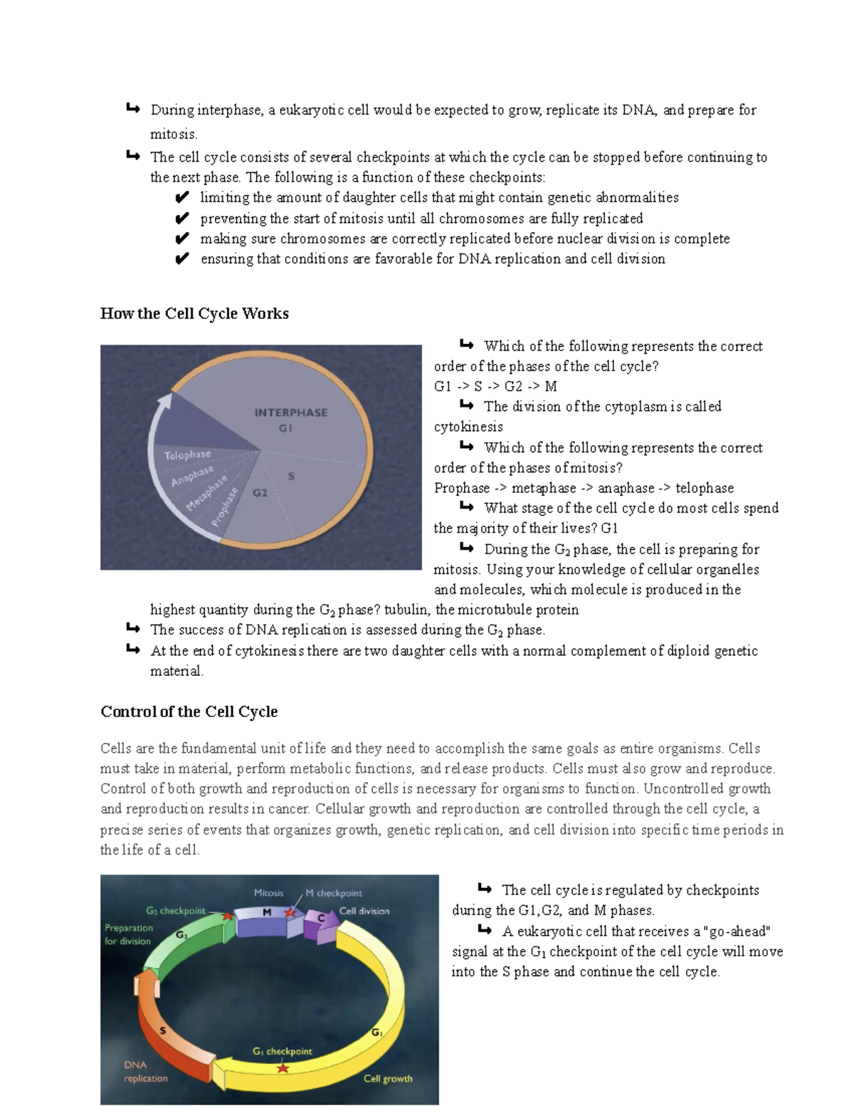 Bio -15 & 16 (part 3) - ↳ During interphase, a eukaryotic cell would be ...