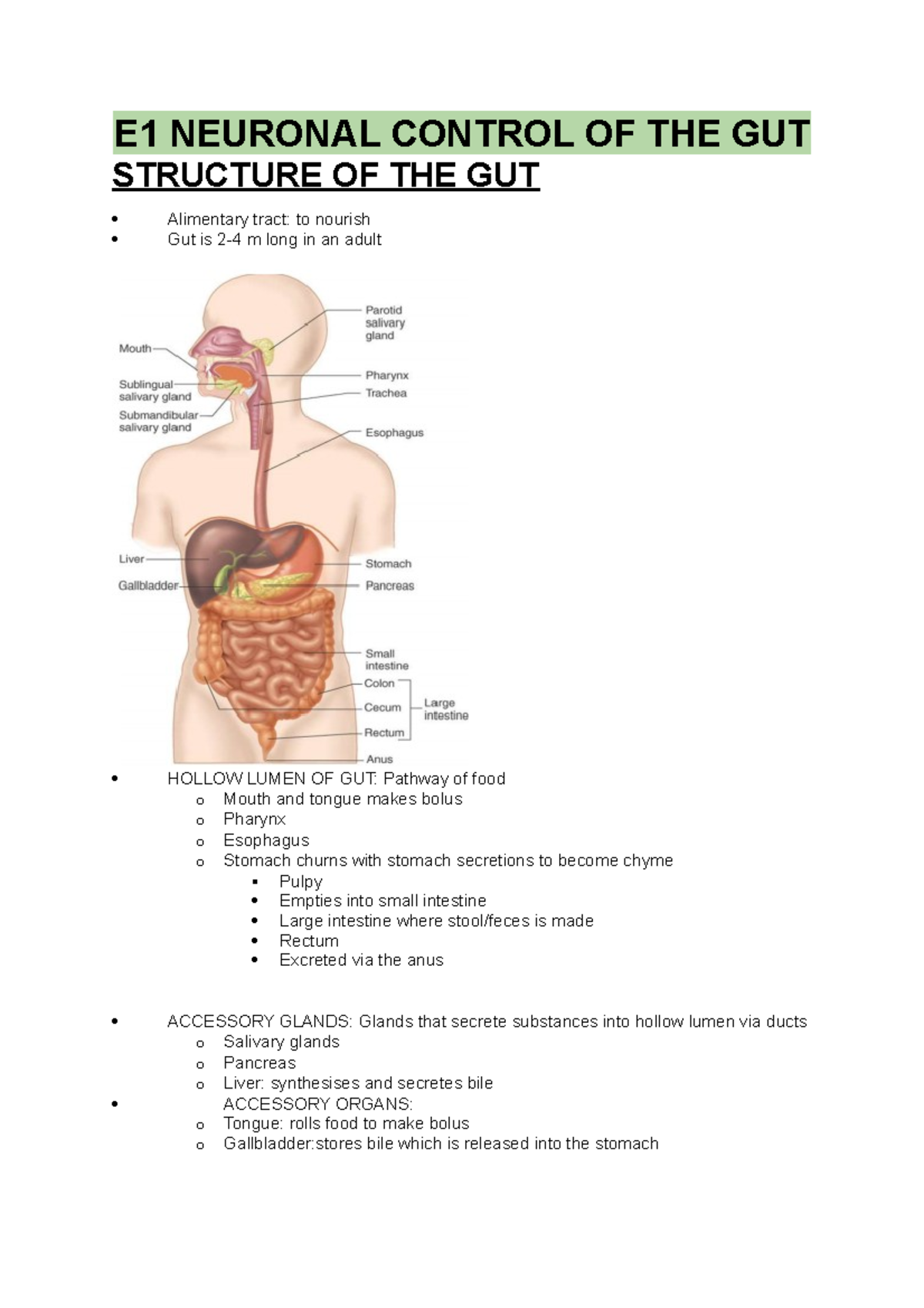 Neuronal Control of the Gut - E1 NEURONAL CONTROL OF THE GUT STRUCTURE ...
