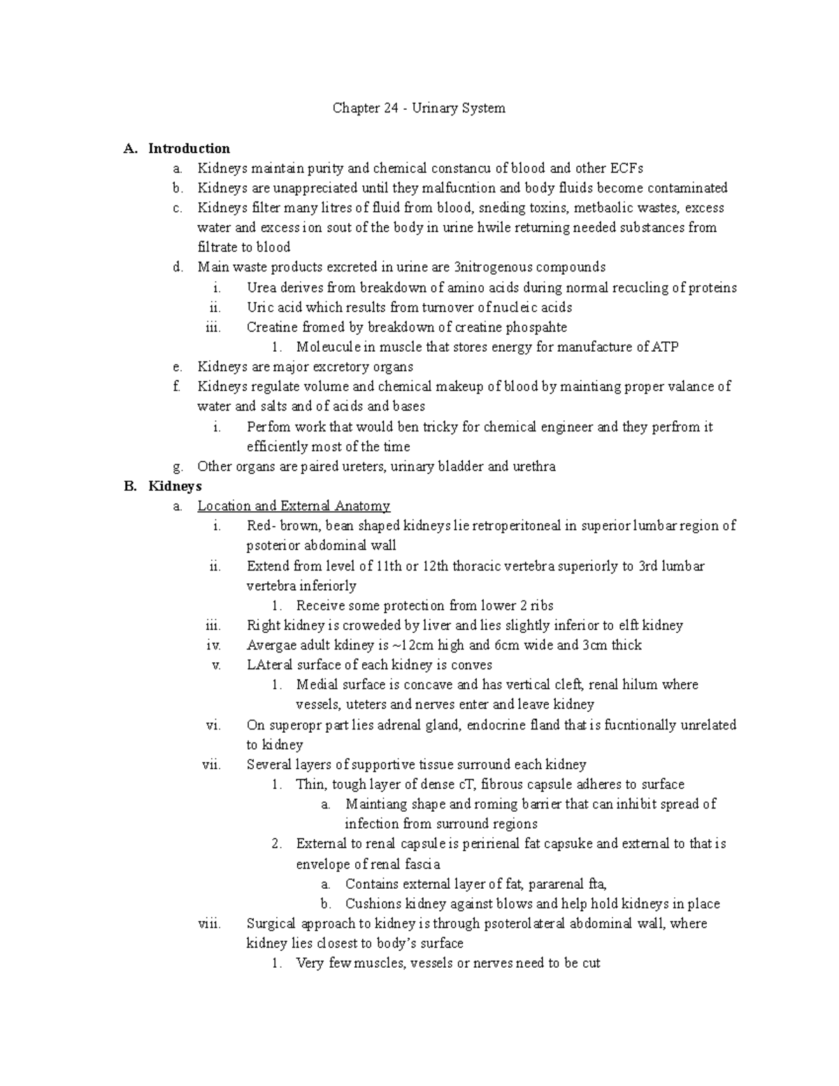 Chapter 24 - Urinary System - Chapter 24 - Urinary System A 