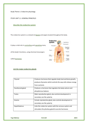 Endocrine Quiz 1,2,3-converted - Endocrine Quiz 1 1)Which Statement(s ...