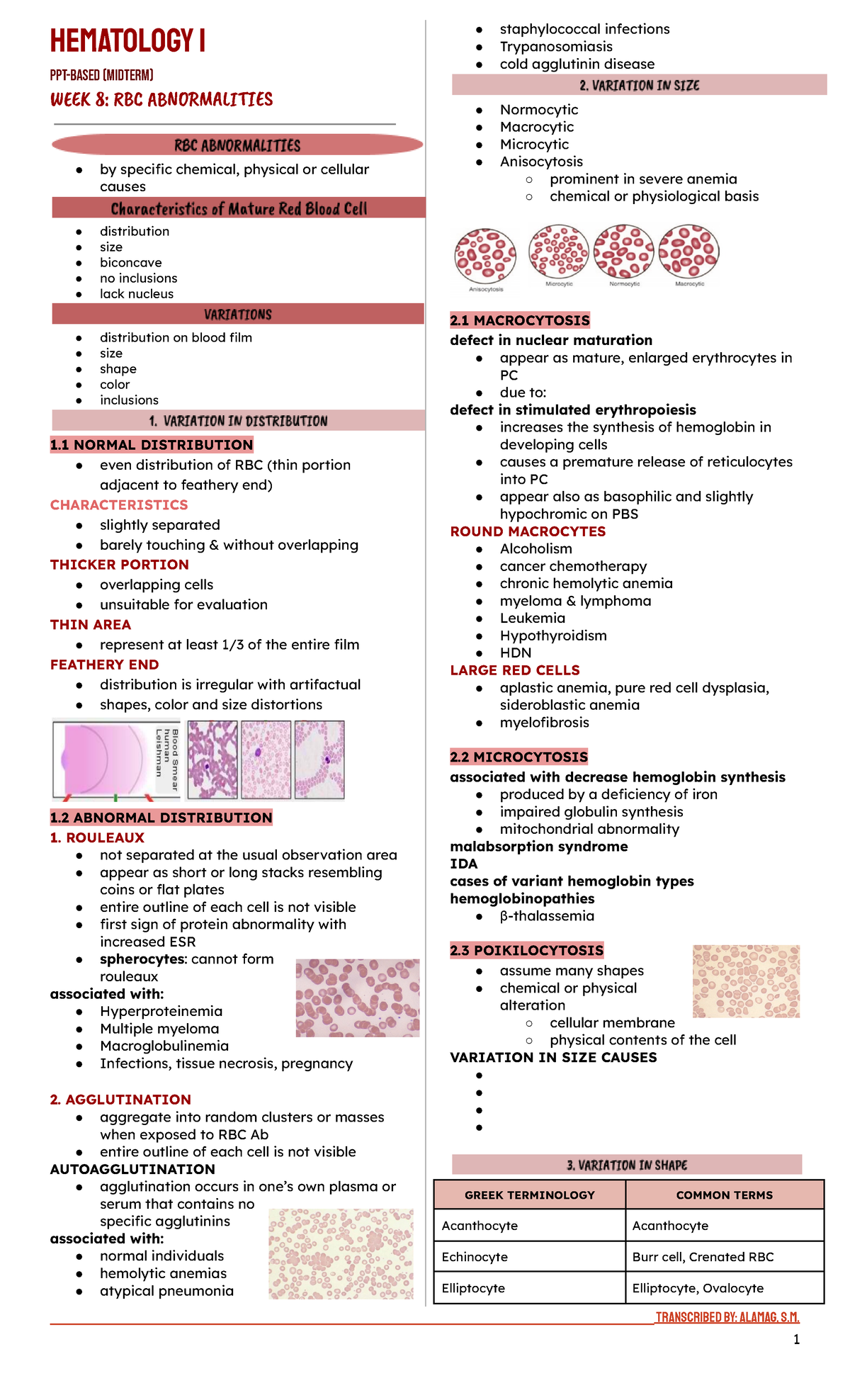 RBC Abnormalities - HEMATOLOGY 1 PPT-BASED (MIDTERM) WE󰁋󰀶 8: ÿB󰁑 A󰁔N󰀮Ā ...