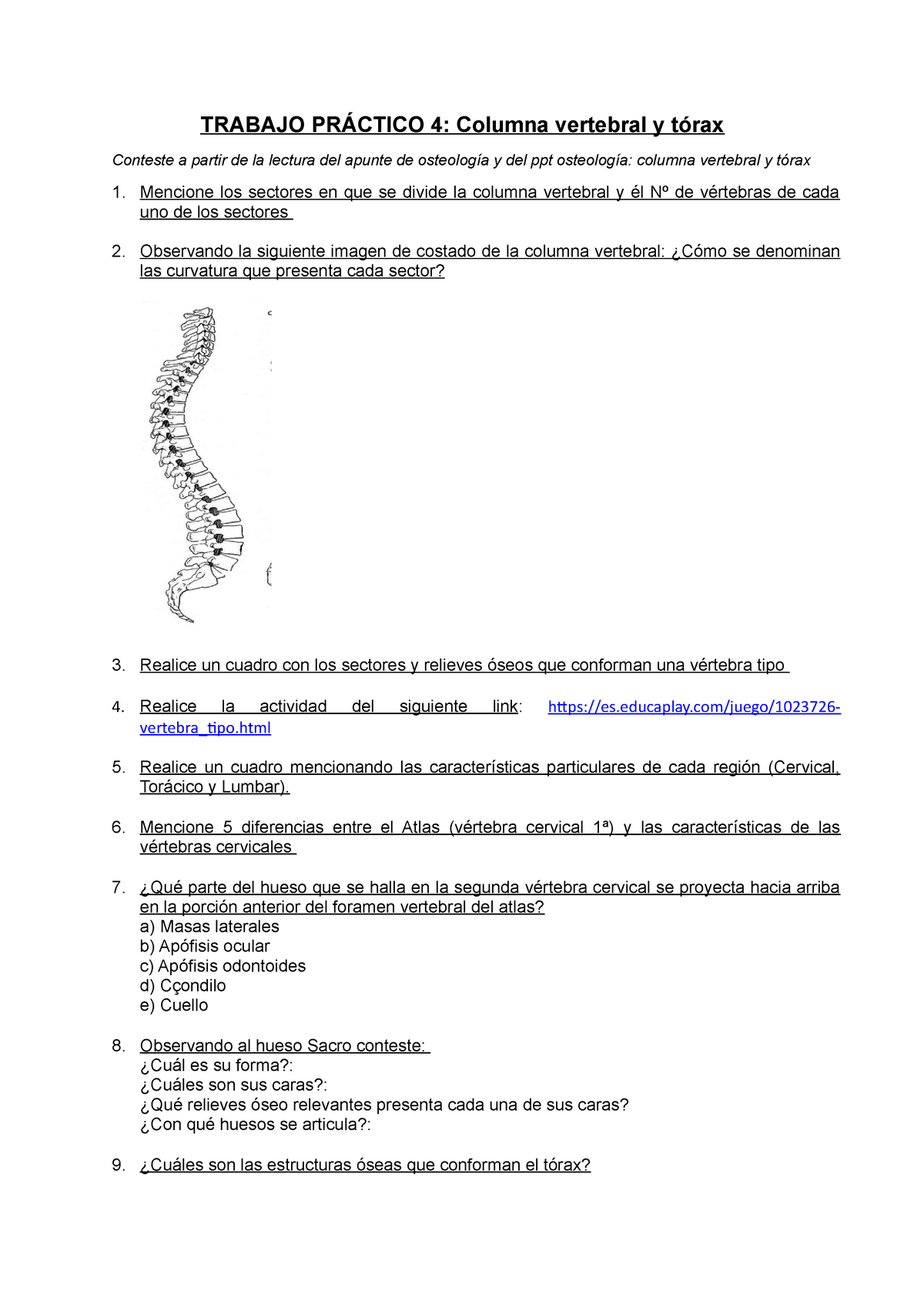 GuÍa Columna Vertebral Trabajo PrÁctico 4 Columna Vertebral Y Tórax