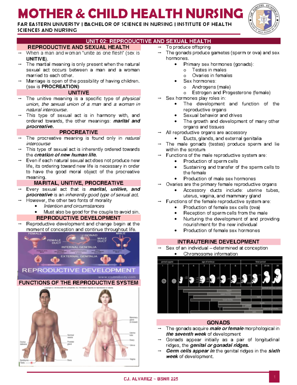 Maternal-02 - Maternal and Child Nursing - MOTHER & CHILD HEALTH ...