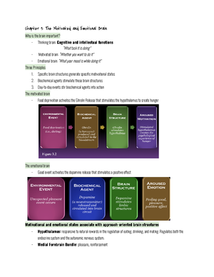 Chapter 3 The Motivated and Emotional Brain - Specific brain structures ...