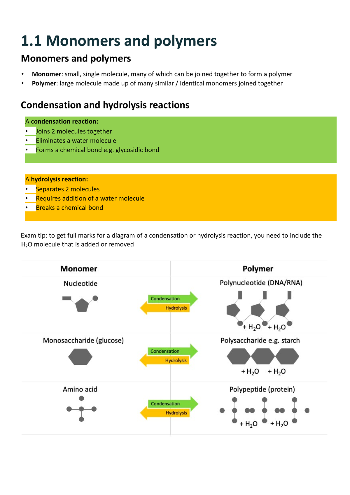 Topic 1 A Level Biology - 1 Monomers And Polymers Monomers And Polymers ...