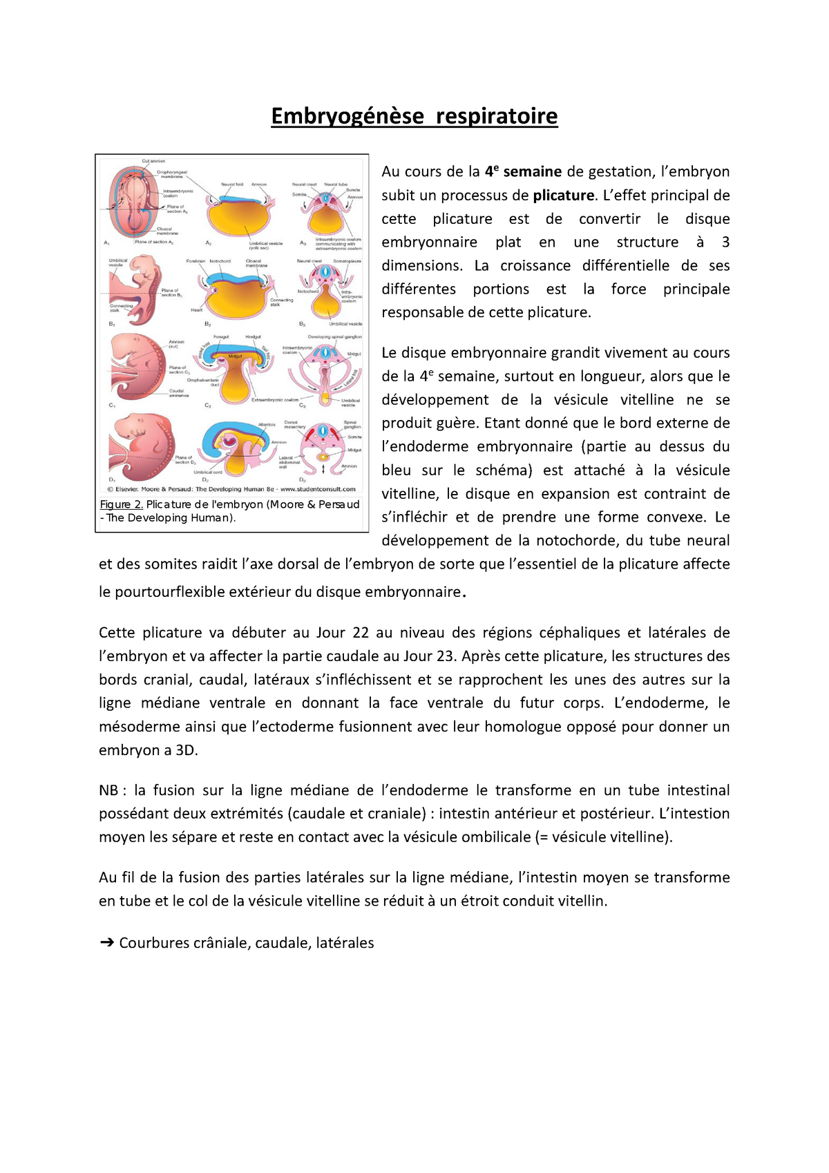 Les membranes fœtales : développement embryologique, structure et  physiopathologie de la rupture prématurée avant terme - ScienceDirect