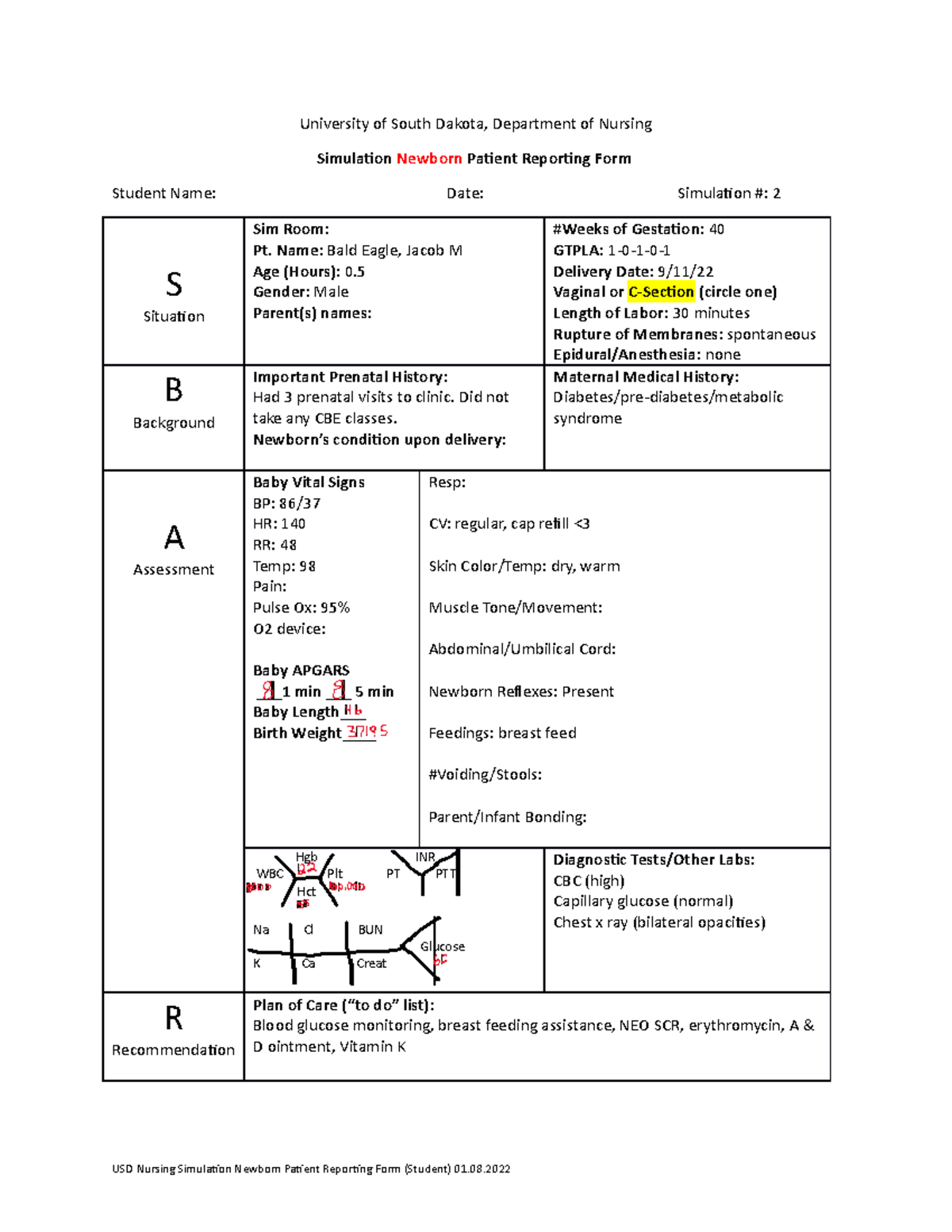Simulation Newborn Patient Reporting Form student - University of South ...