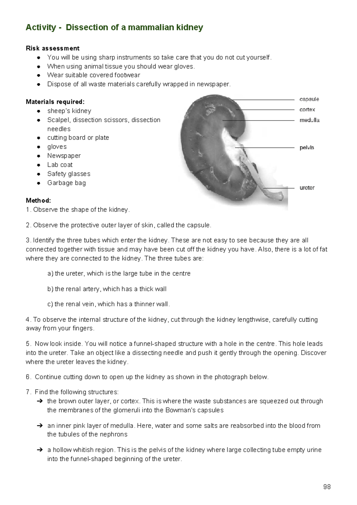 Kidney Dissection Activity Dissection of a mammalian kidney Risk