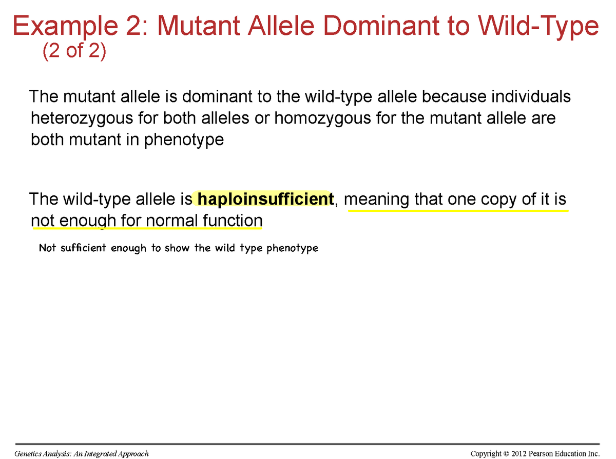 genetics-2-6-example-2-mutant-allele-dominant-to-wild-type-2-of-2-the-mutant-allele-is