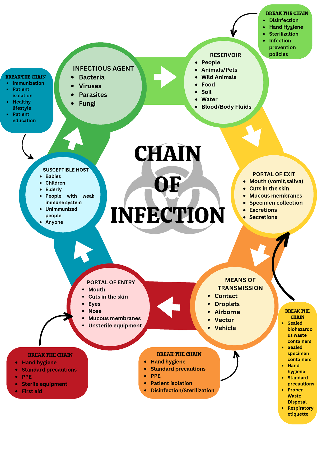 Chain OF Infection - kkkk - Contact Droplets Airborne Vector Vehicle ...