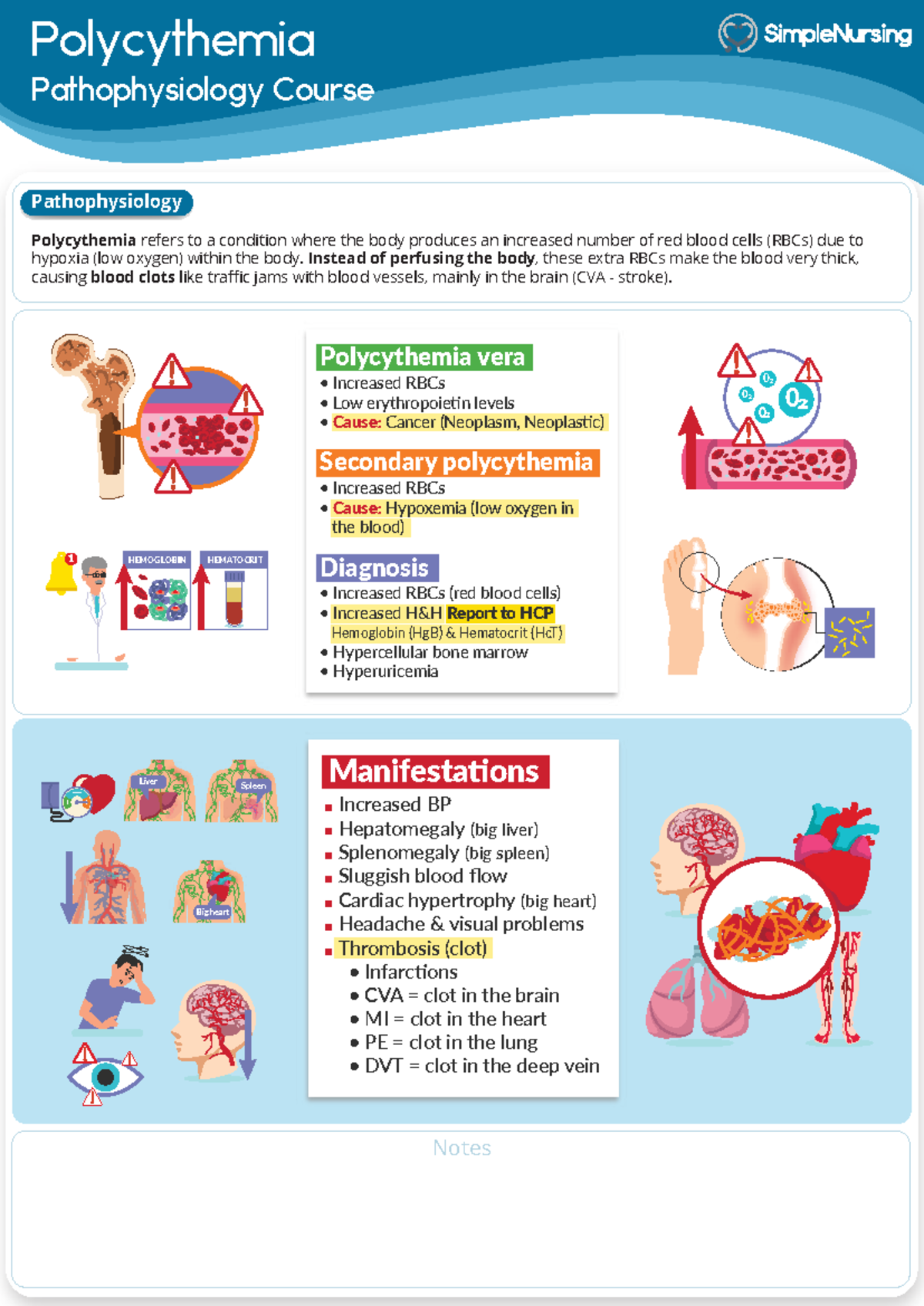 6. Polycythemia - Summary Advanced Concepts Of Medical-Surgical Nursing ...