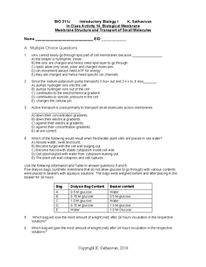 Week 1 Data Analysis Exercise - BIOL 1106 – Biology 1 Lab Data Analysis ...