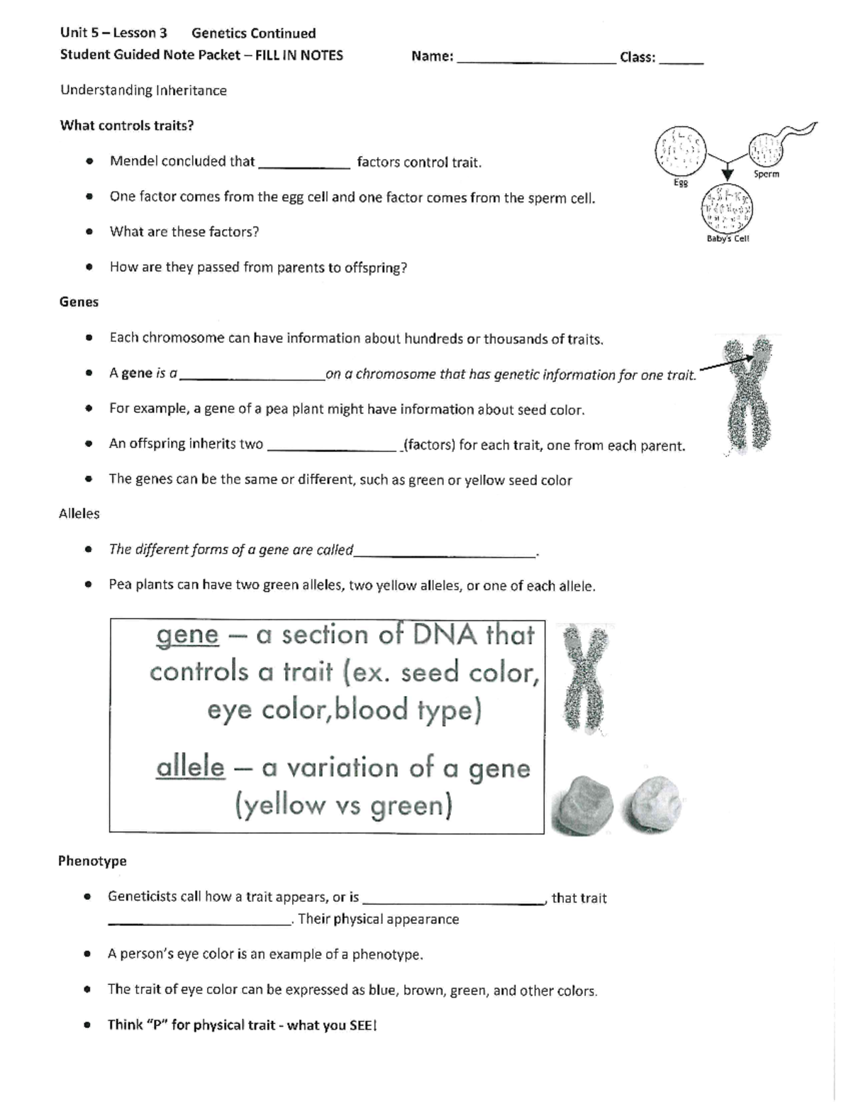 Mashato Glass - Unit 2 Genetics Guided Notes - Studocu