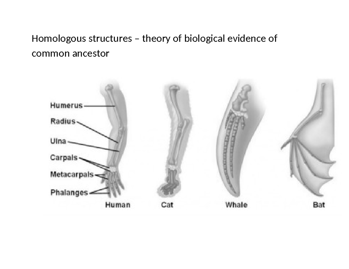 Homologous structures - Studocu