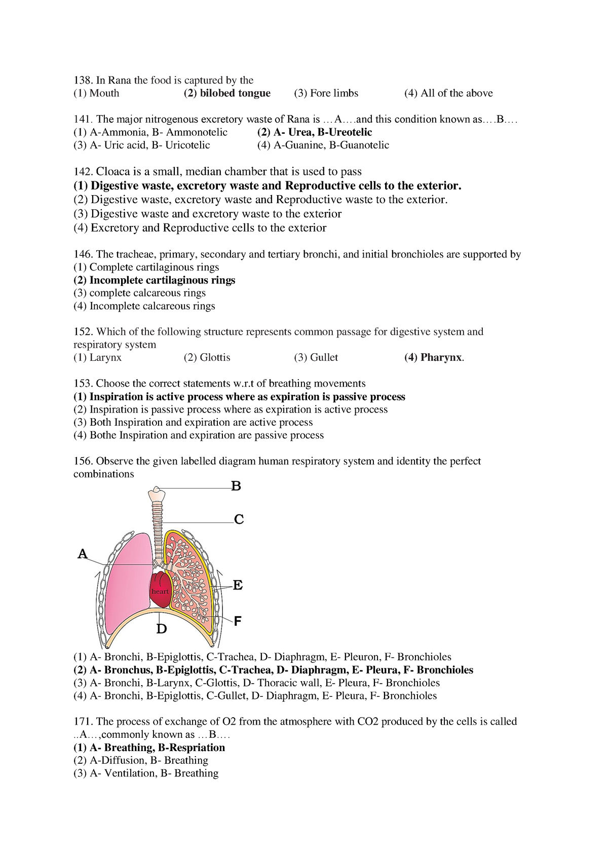 Revised - chemical bonds - In Rana the food is captured by the (1 ...