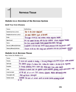 Chapter 12 - The Brain-4 - Module 12 Overview of the Central Nervous ...