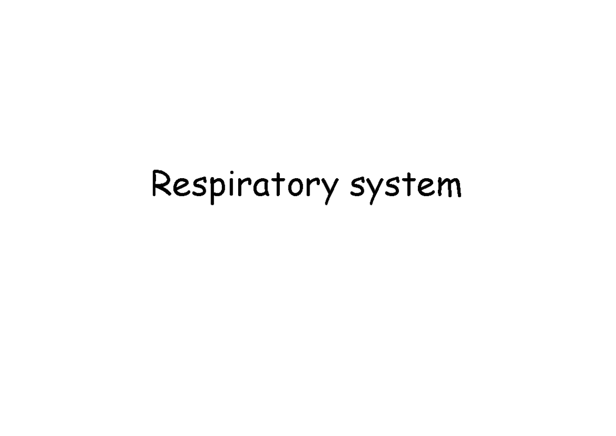 Respiratory system SC - Mappe e riassunti - Respiratory system What is ...