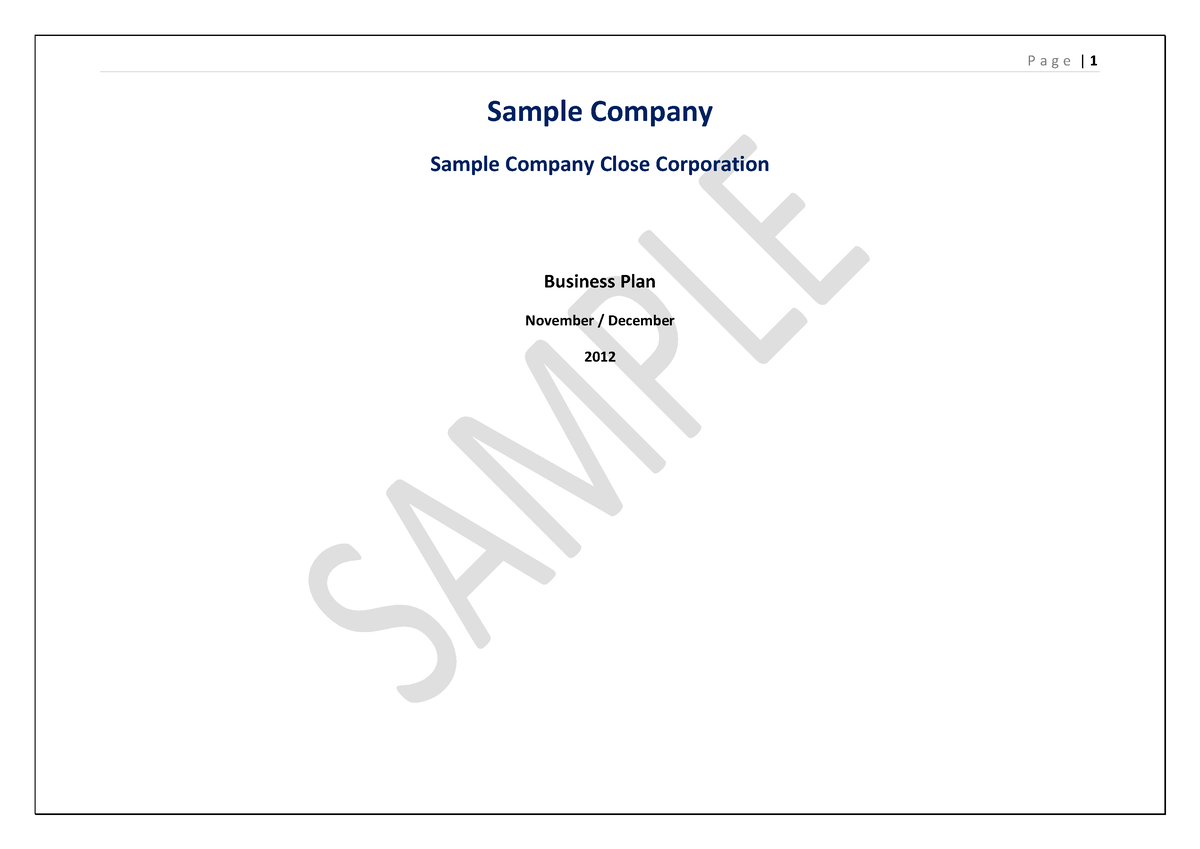 buisness-plan-sample-sample-company-sample-company-close-corporation