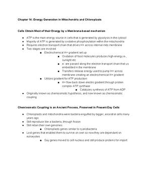 Chapter 11 Membrane Structure - Chapter 11: Membrane Structure Membrane ...
