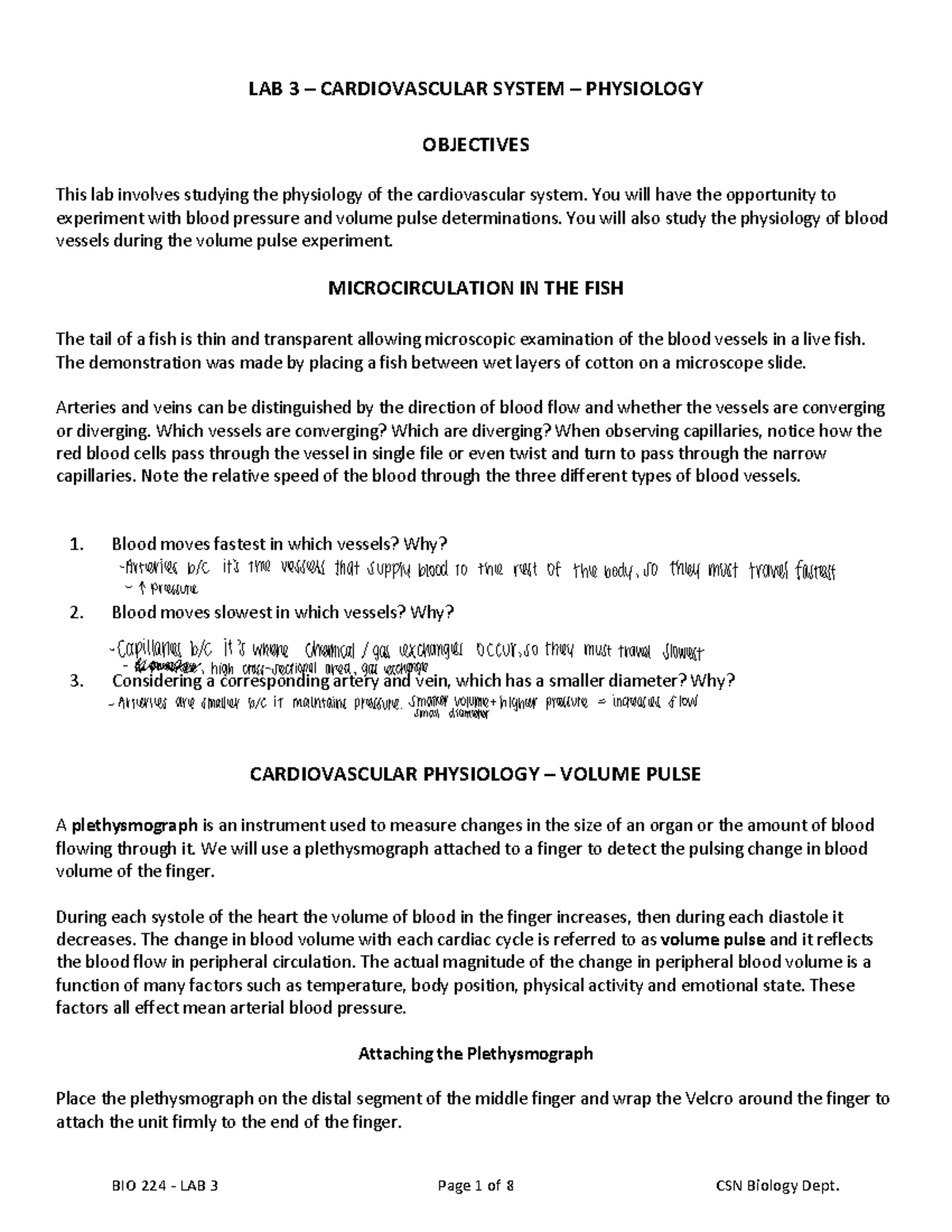 BIO+224+LAB+3 - Notes for lab - LAB 3 – CARDIOVASCULAR SYSTEM ...